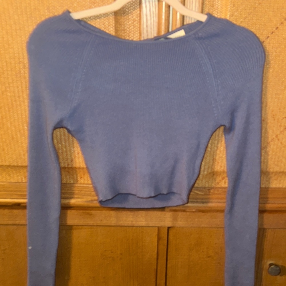 PacSun Lavender Long Sleeve Crop Top